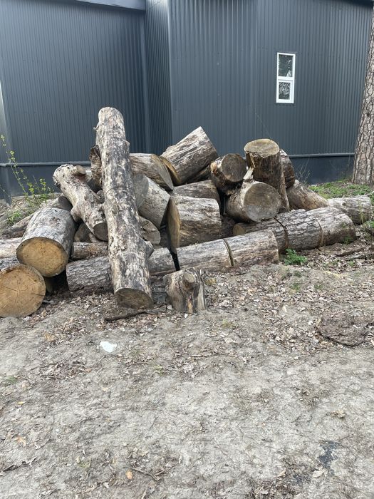 Дрова кругляк, 700грн, самовивіз, доставка