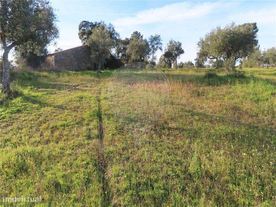 Quinta  para venda — Aldeia de Santa Margarida, Castelo Branco