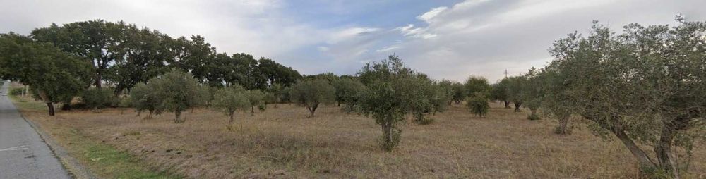 Terreno de Sobral e Oliveira
