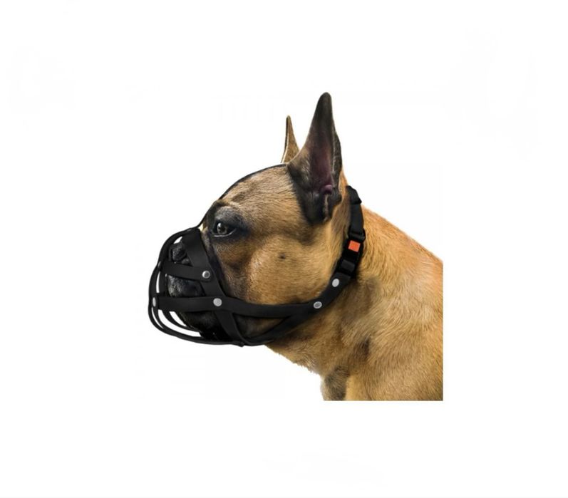 Водовідштовхуючий намордник для французького бульдога