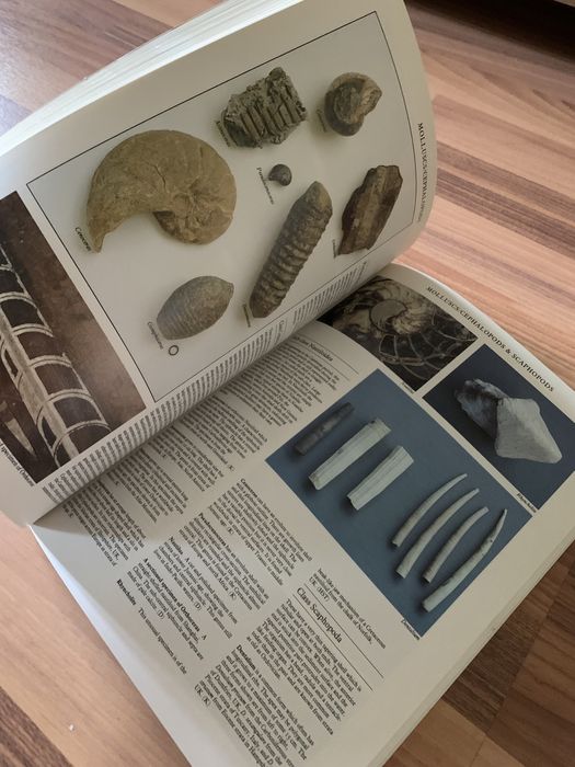 Книга о минералах на английском