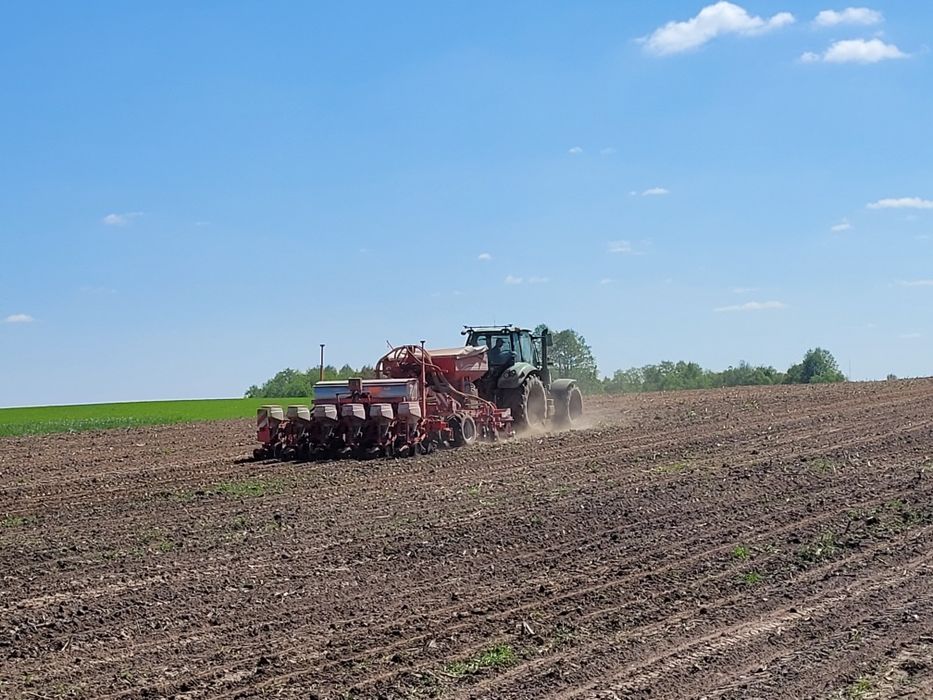 Siew kukurydzy, zbóż,rzepaku  uprawa pasowa strip till