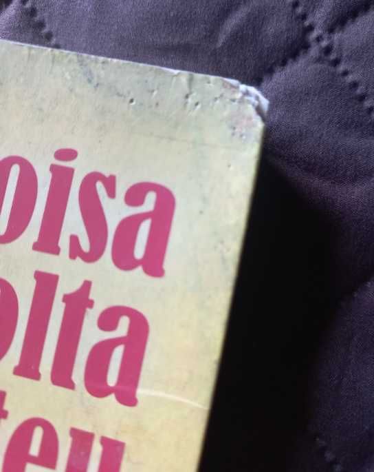 A Coisa à Volta do Teu Pescoço - Chimamanda Ngozi Adichie