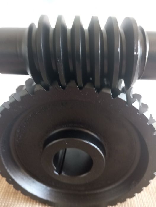 Черв'ячна пара (