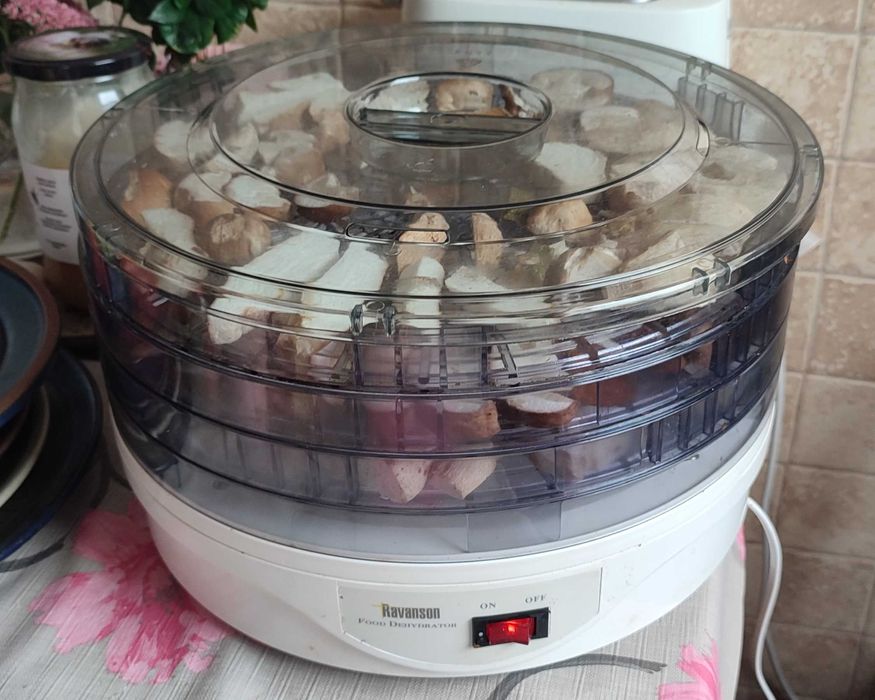 suszone BOROWIKI suszony BOROWIK 1 kg zbiór 2025