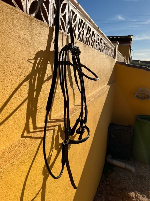 Cabecada de bridao