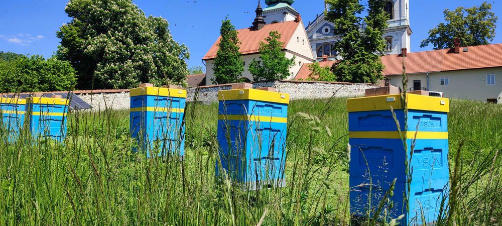 Wczesne ODKŁADY MAJOWE 2026 Rok i RODZINY Pszczele - Pasieka PRADAWNA®