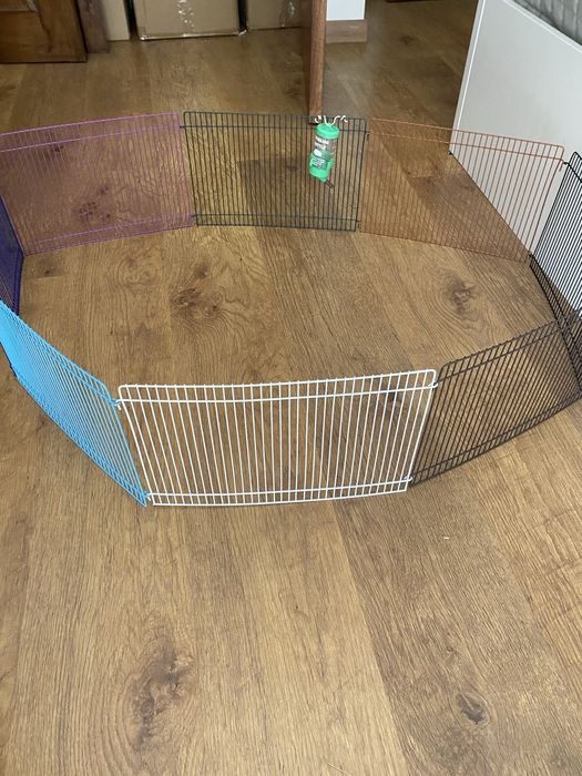 Kit hamsters, Cobaias, Coelhos e outros roedores