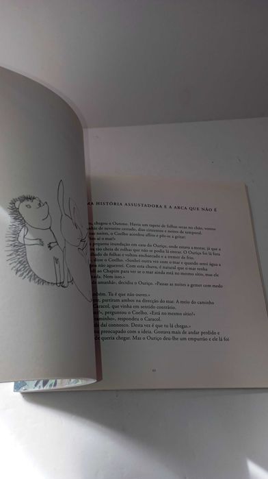 Contos da Mata dos Medos - Álvaro Magalhães