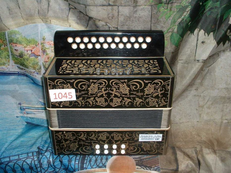 Promoção de Acordeões de concertinas Vendo uma coleção de 2000 instrumentos