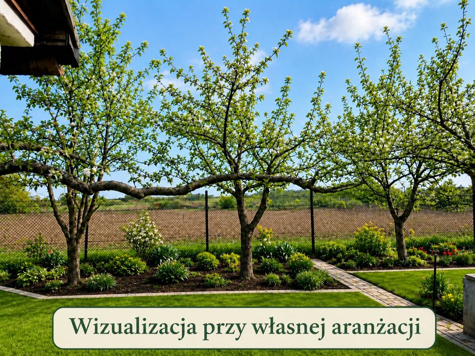 Działka ROD Borowska/Orawska Wrocław Krzyki