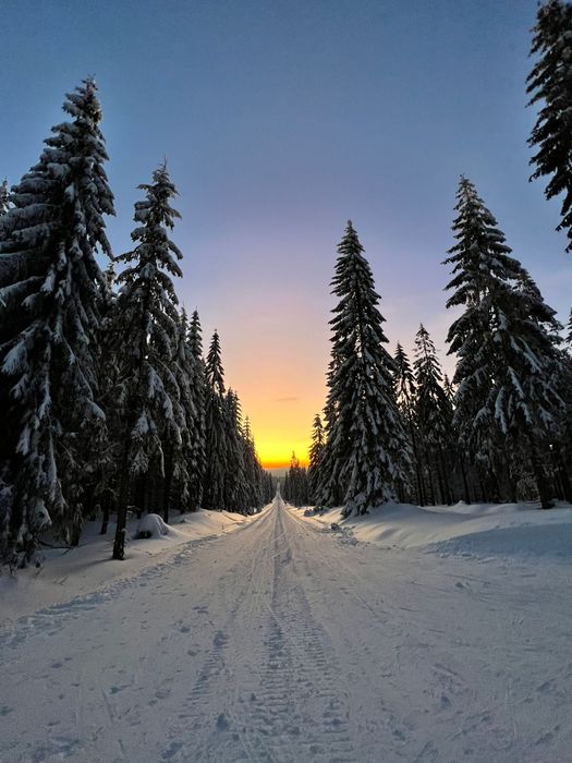 Narty biegowe gotowe zestawy dla dorosłych i dla dzieci Jelenia Góra