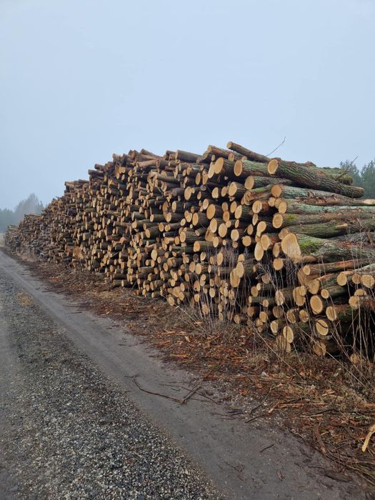 Drewno Kominkowe /Opałowe