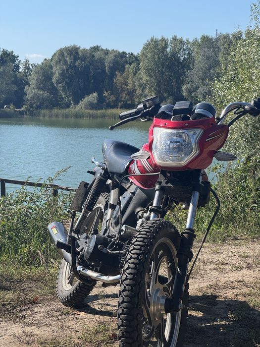 Alpha 125 forte rx