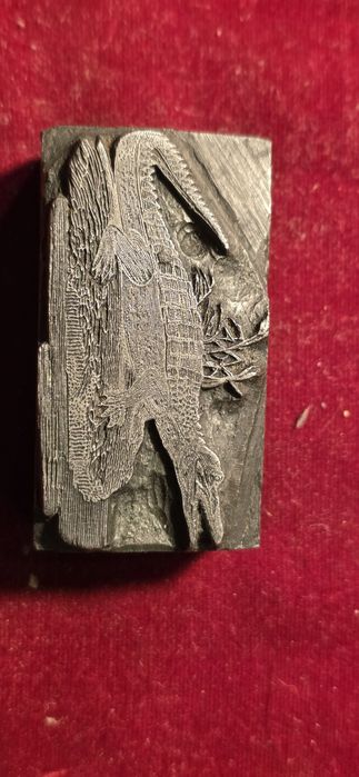 Cunhos de tipografia