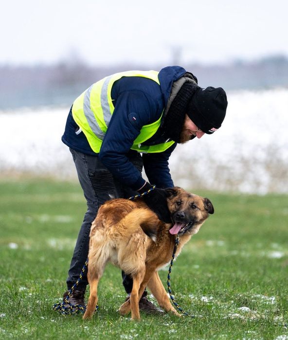 Madi - wulkan energii do adopcji