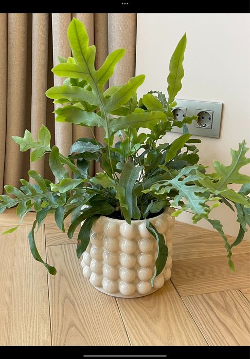 Кашпо H&M очень красивое