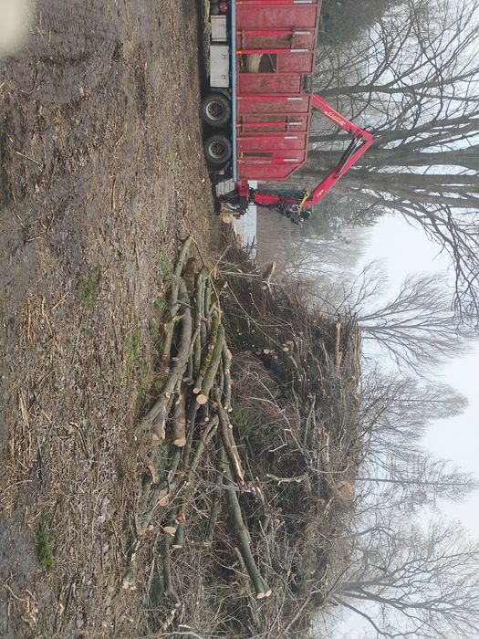 WYCINKA DRZEW/Odbiór drewna i gałęzi