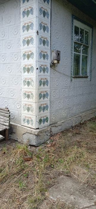 Будинок з територією