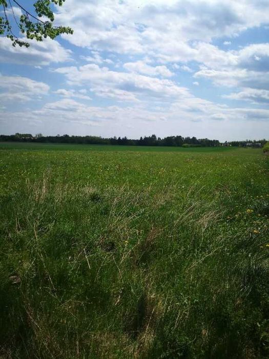 Okazyjnie sprzedam piękną działkę pod zabudowę lub na inwestycję