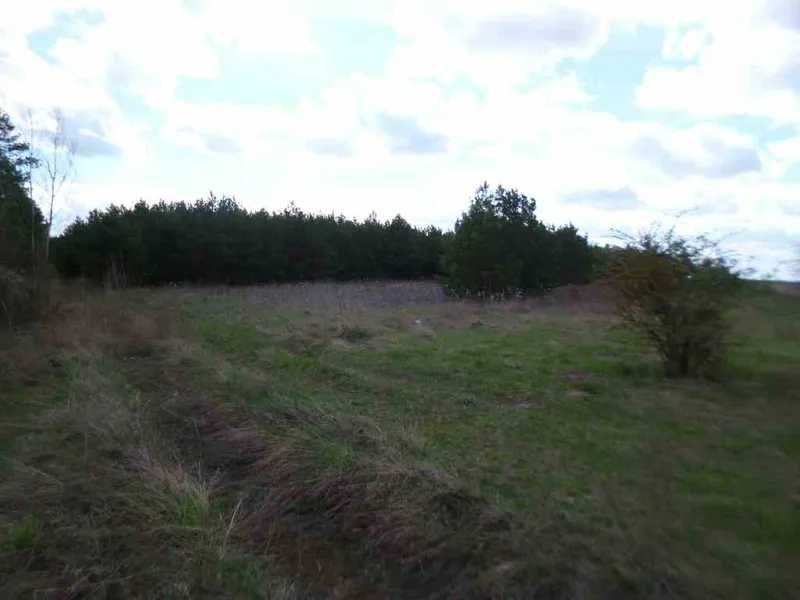 Земельна ділянка пл. 3,9999 га Вороньківська с/р