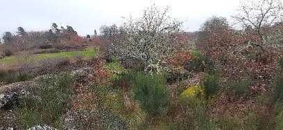 Terreno para construção, vista panorâmica, turismo.  Alhais Viseu