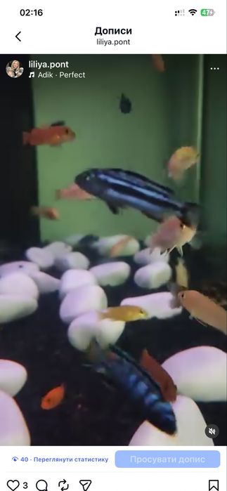 Акваріум терміново! 240 л