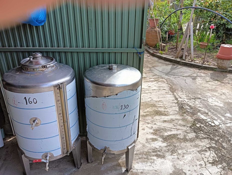 Equipamentos para vindimas (Esmagador elétrico em Inox e Cubas em Inox)