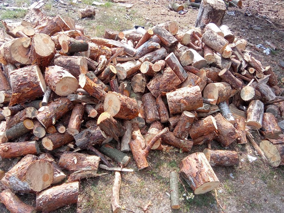 Drzewo opałowe suche