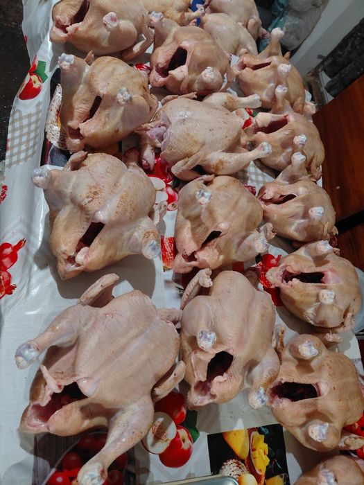 Бройлер домашній 130гр кг.