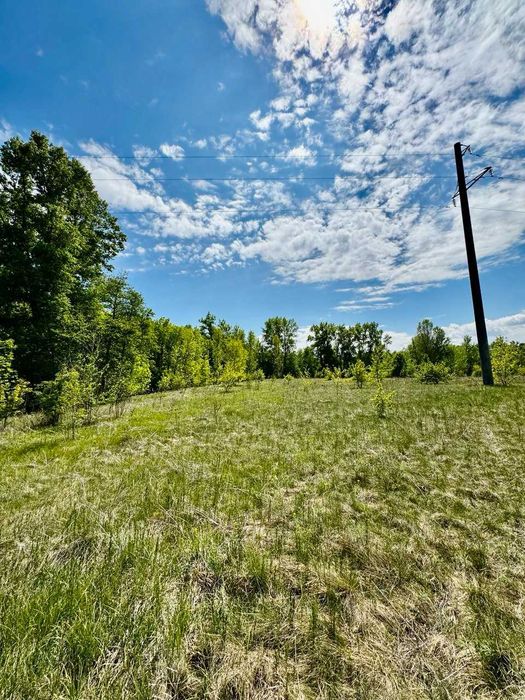 1 Лінія р. Снов! Перспективні земельні ділянки в с. Кобилянка! A11