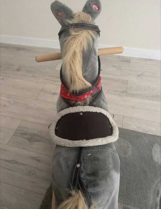 Konik na biegunach