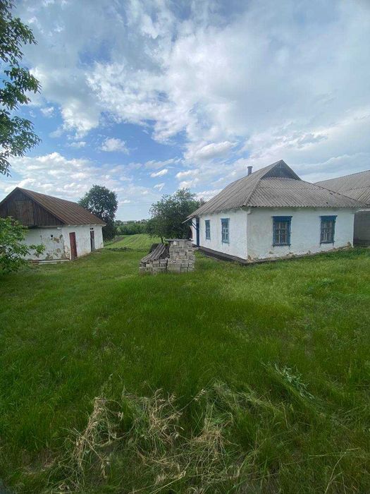 Продам земельну ділянку в селі Острів Білоцерківський район