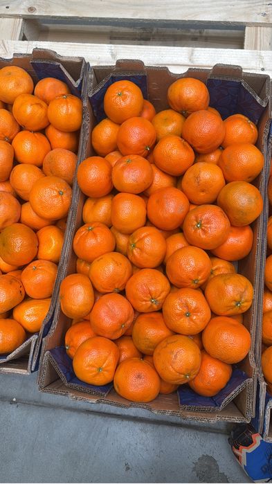 Mandarynki 10 kg op (3zł kg)