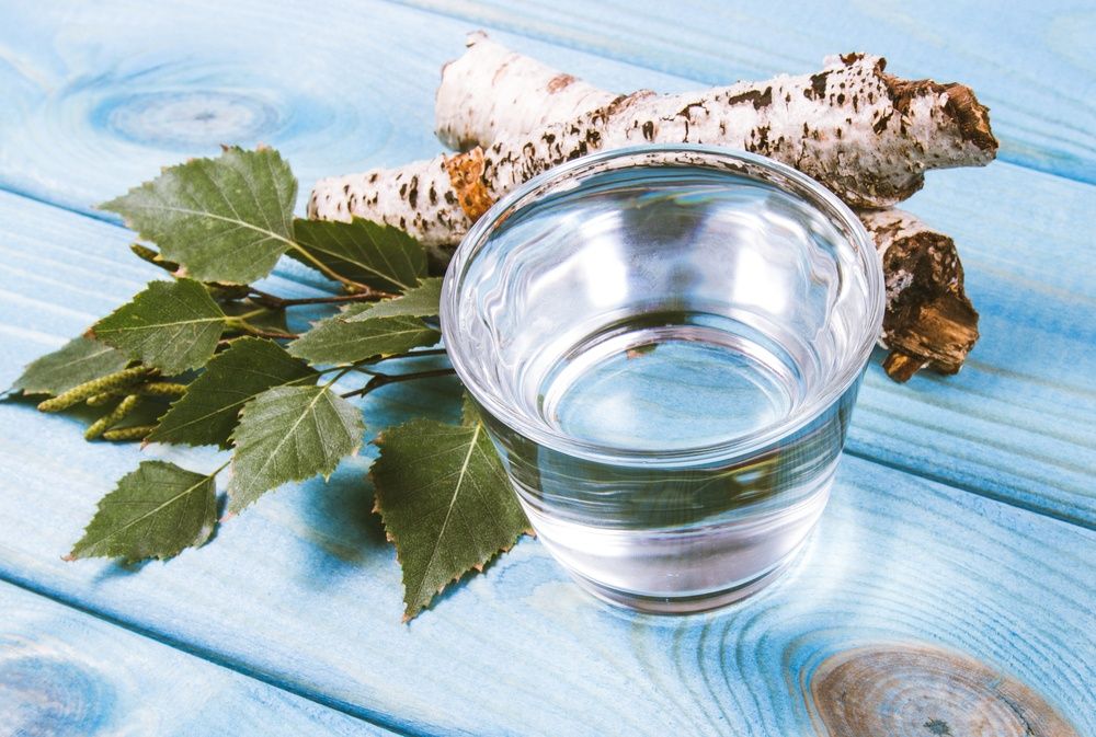 Sok z brzozy- wzmocnij swój organizm