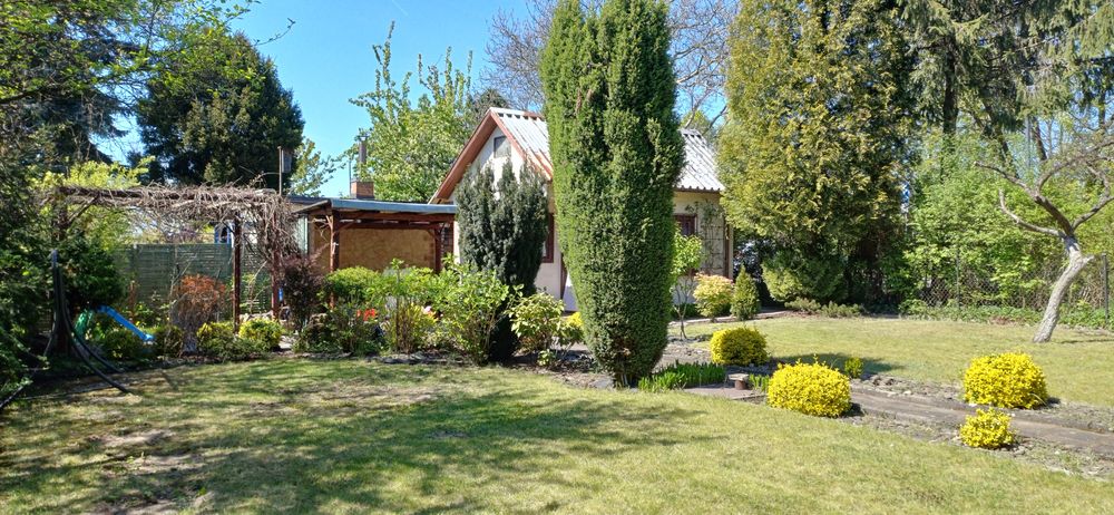 Ogródek działkowy ROD Zagórze Zaruskiego - Widok 2