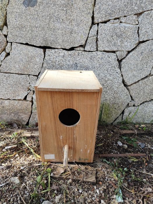 Material de criação de pássaros