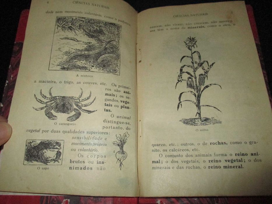 Livro Ciências Naturais 4ª classe Série Escolar Figueirinhas 1940