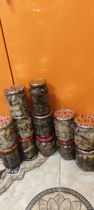 Мариновані грибочки  білі, лисички збір 2025, зеленушки, польські збір