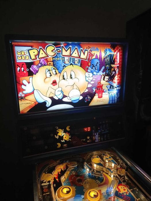 Flipper Mr Pac Man