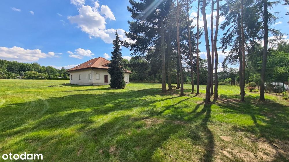 Piękna Działka W Łódzkich Łagiewnikach