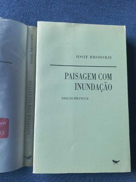 Paisagem com Inundação - Joseph Brodsky
