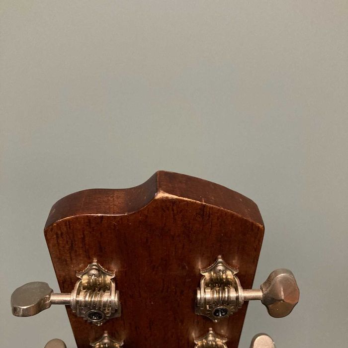 Breedlove Discovery Dreadnought – gitara akustyczna