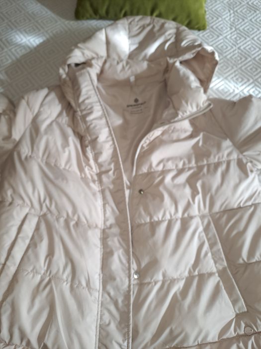 Kispo bege Springfield