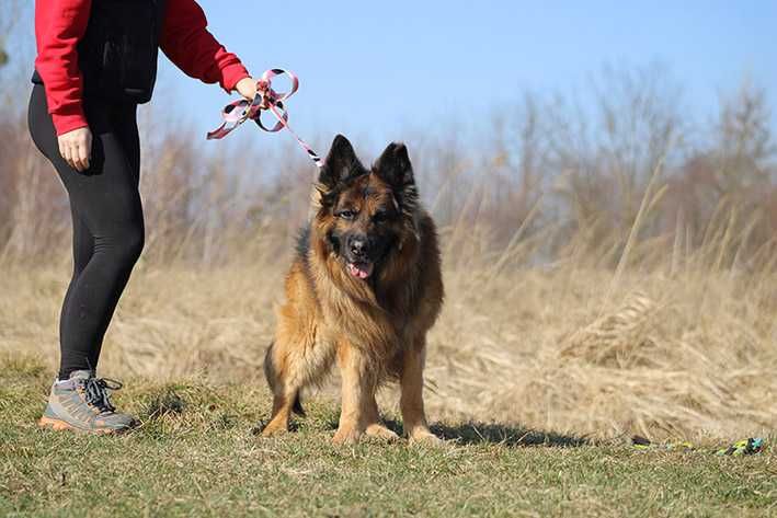 Filip szuka wspaniałego domu !