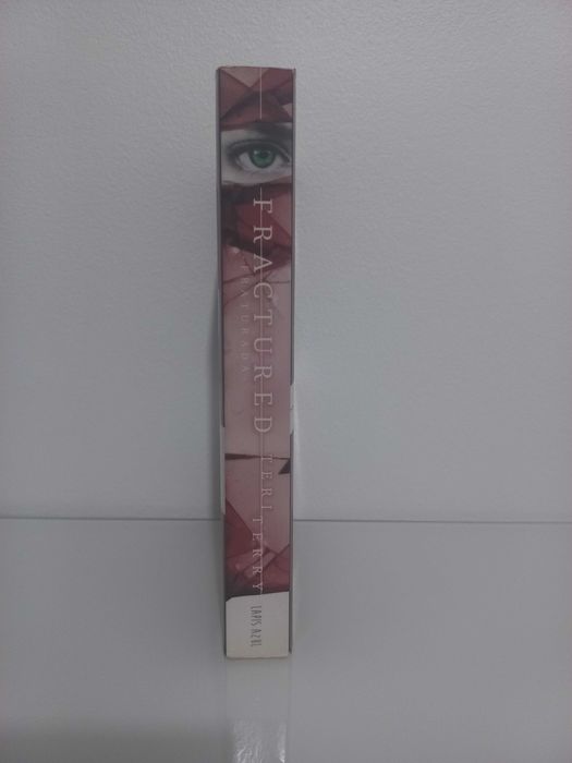 Fraturada - Teri Terry