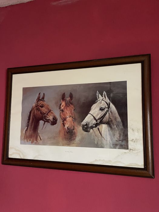 Quadro cavalos bonito