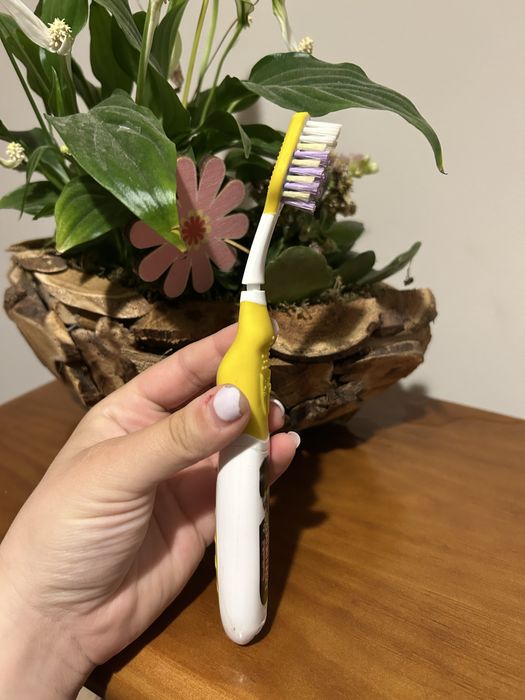 Escova dentes justin bieber