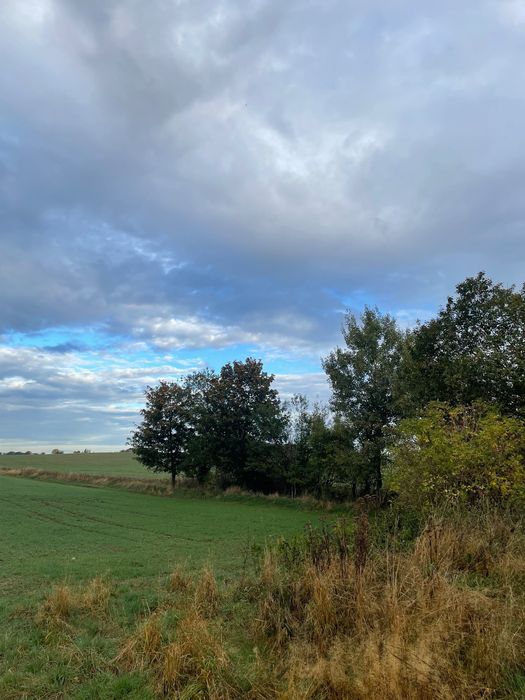 Działka pod budowę - ponad 9000 m² (0,9452 ha) / 4min od Redzikowa - Więcej