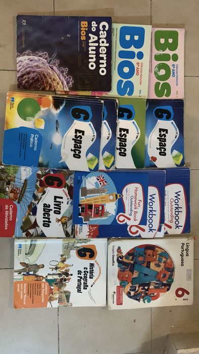 Manuais / Livros e Cadernos de Atividades (CA) 6 ano
